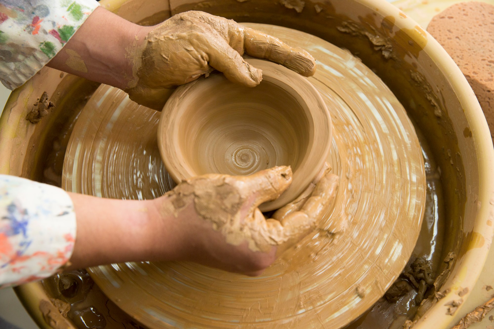 50610659782_4576406c0a_6k