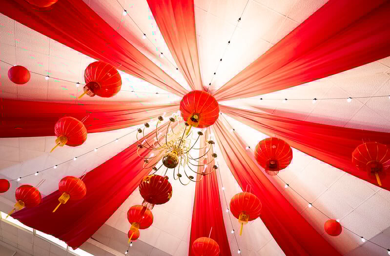 53530130199_6e188a8f6b_c