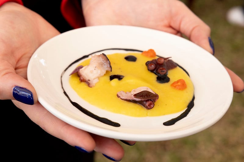 53586324309_703294eed2_c