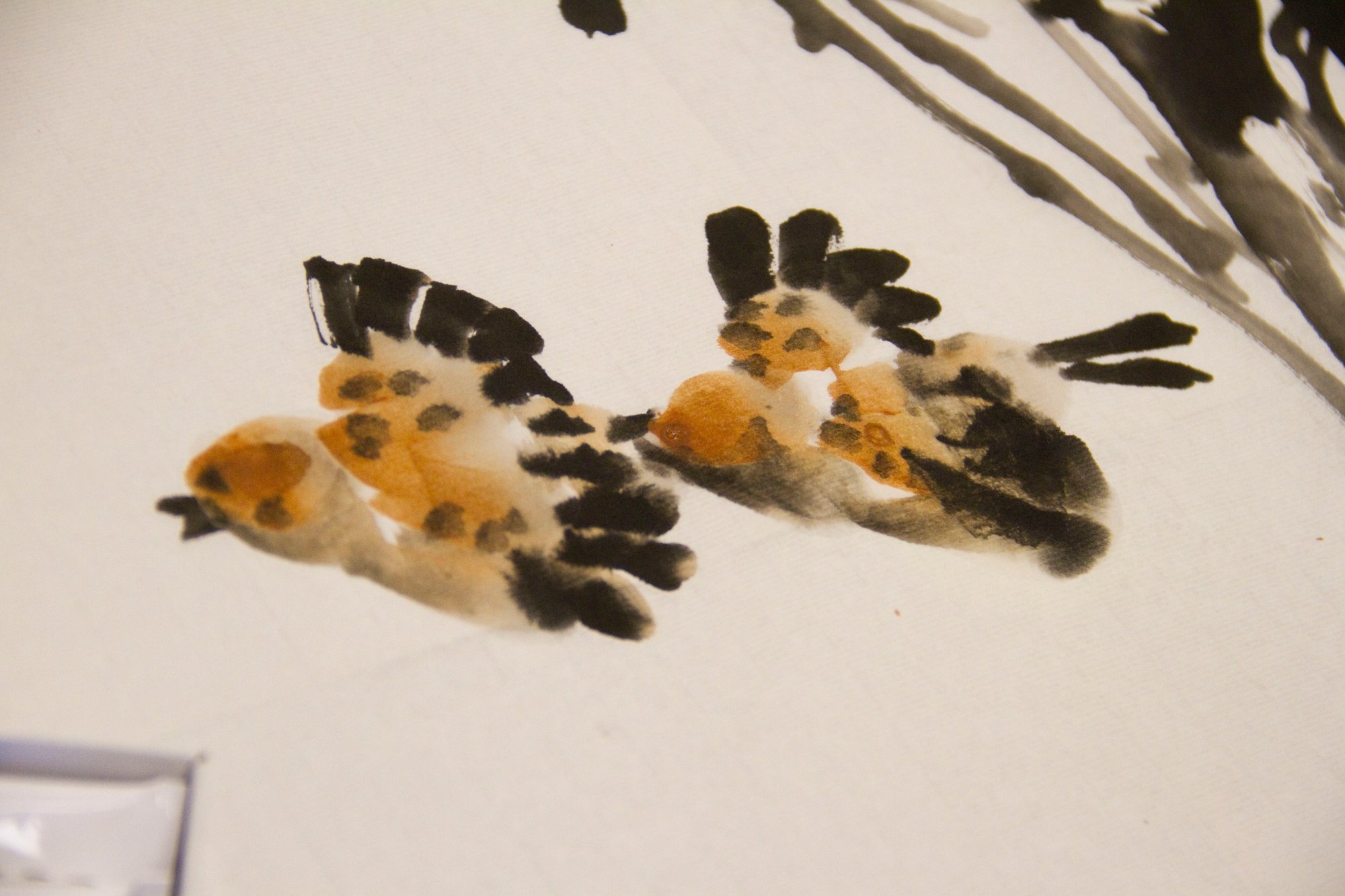 5891731813_d4931e70f6_o