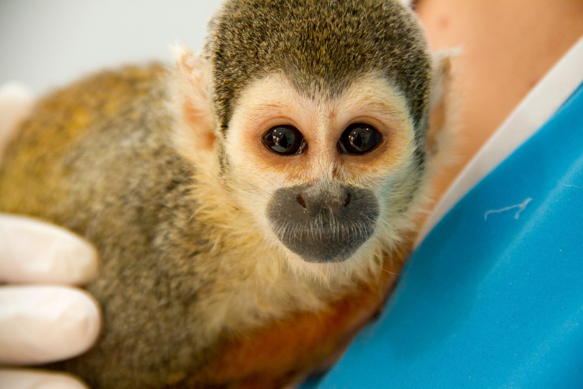 7982632440_d9484e0763_5k