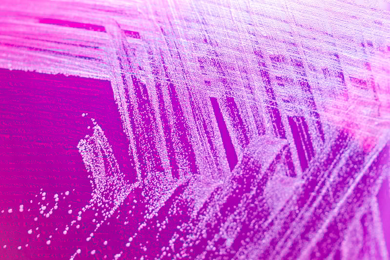 9204114088_31e6ecb999_c