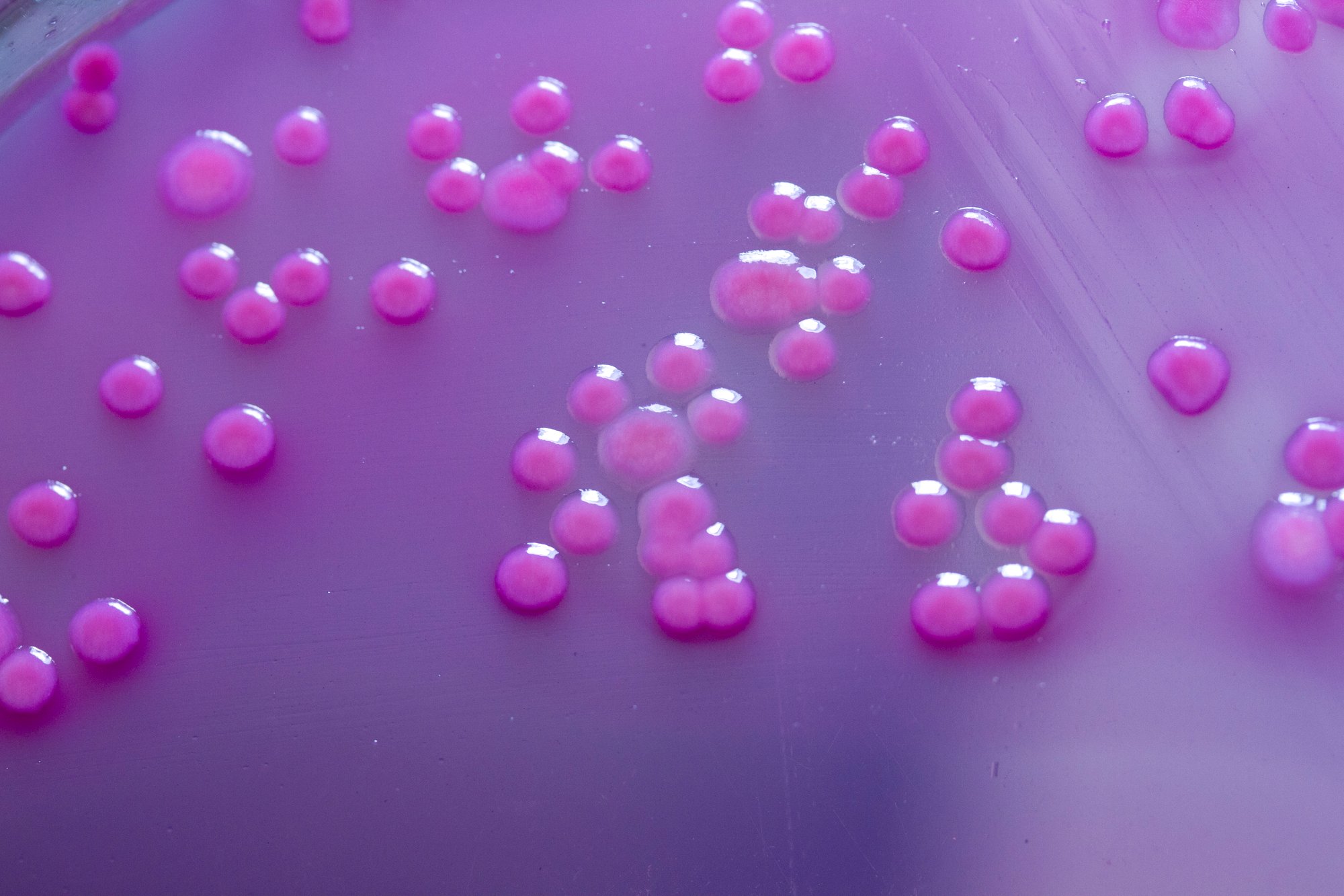 9204115942_2fbc74f099_o