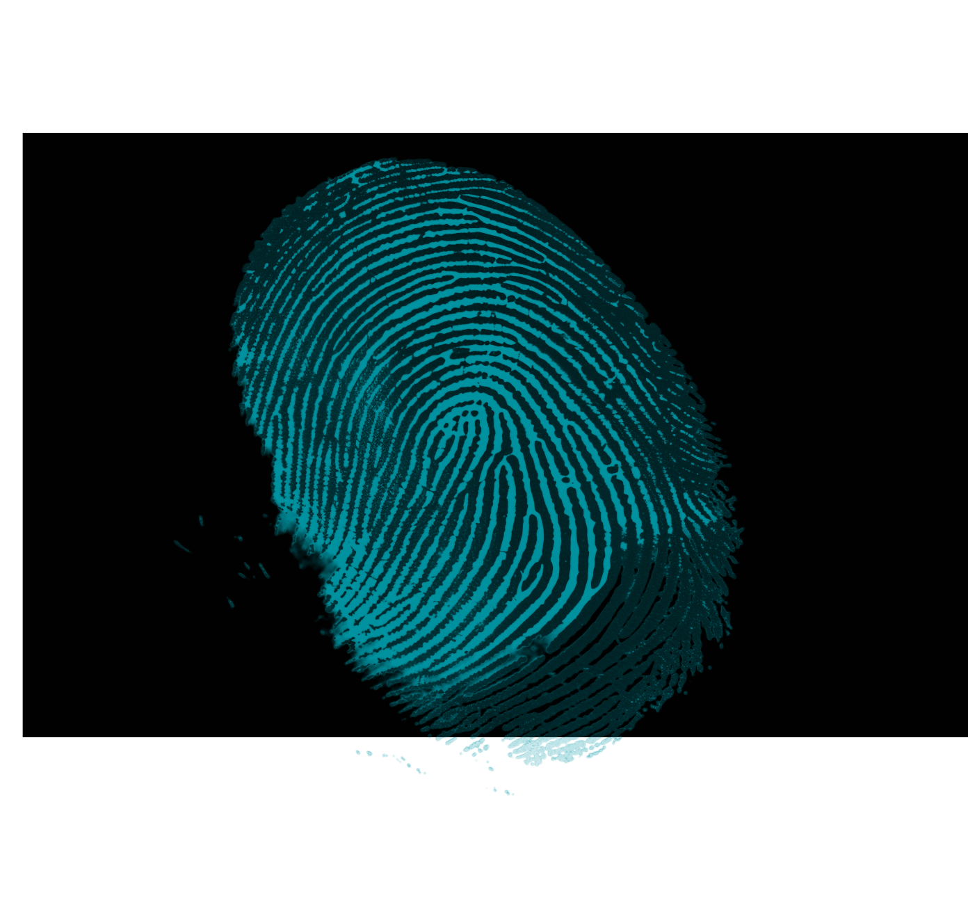 huella digital